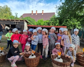 A Napocska csoport kirándulása a Pöttöm Majorban